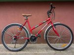 rowery_tychy_PXL_20240704_113026810.jpg